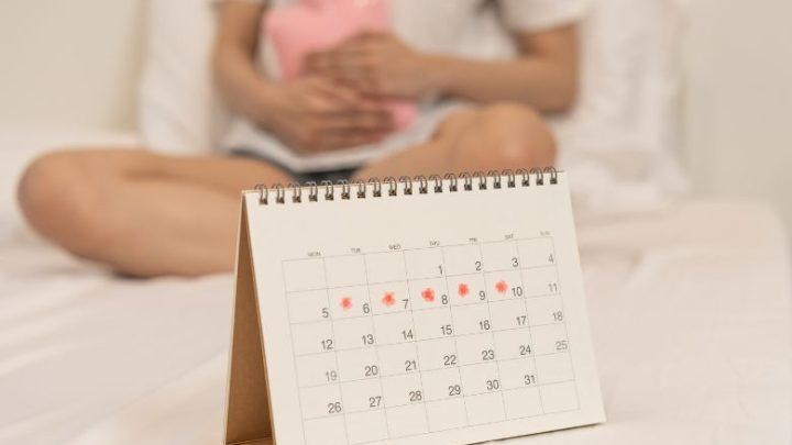 Ciclo Menstrual