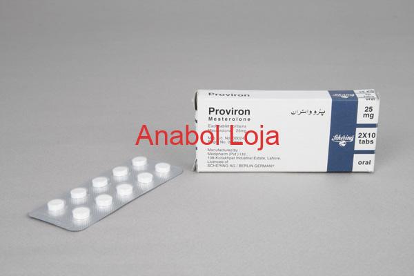 Mesterolona