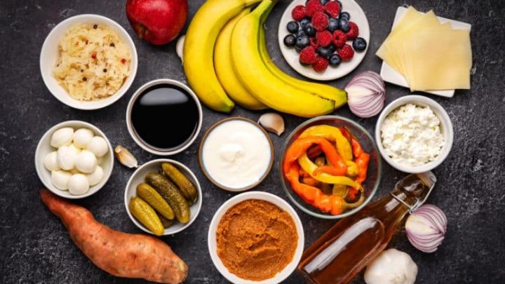 alimentos probióticos